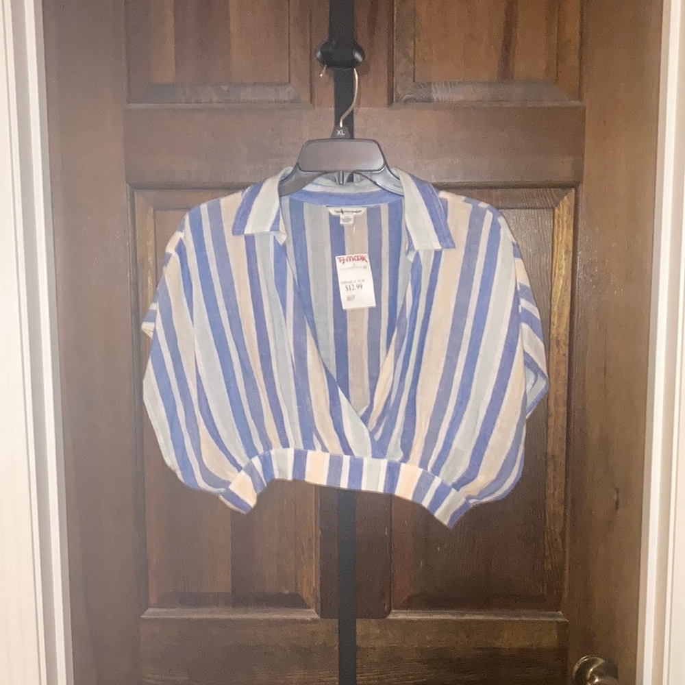 American Eagle Outfitters Blue and Tan Striped Crop Top